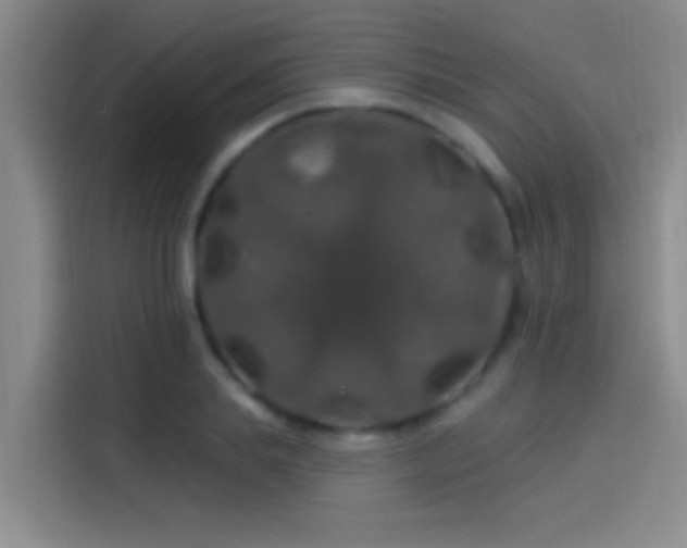 X0000114080839200910131235