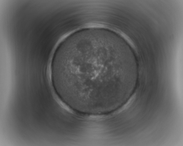 X0000114080840200910131235