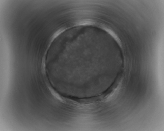 X0000114080850200910131235