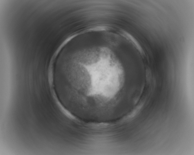 X0000114080851200910131235