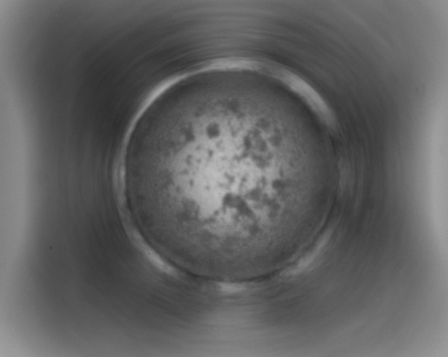 X0000114080852200910131235