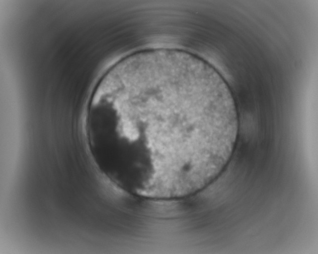 X0000114080856200910131235