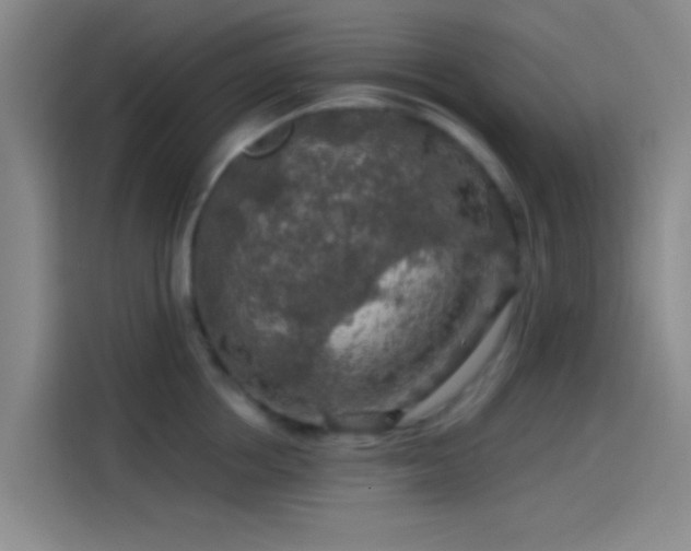 X0000114080858200910131235