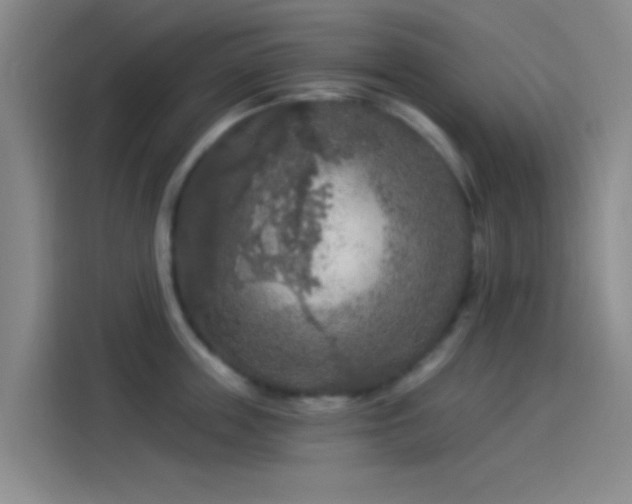 X0000114080859200910131235