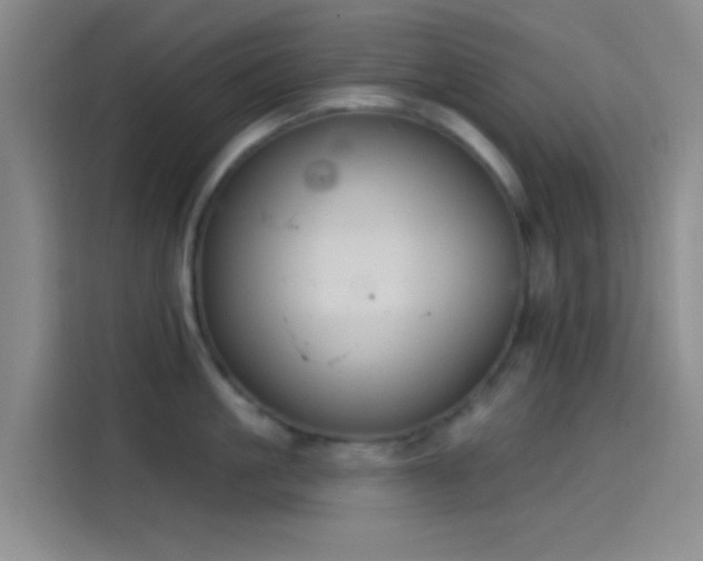 X0000114080861200910131235