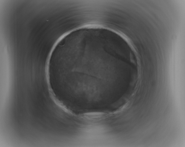 X0000114080864200910131235