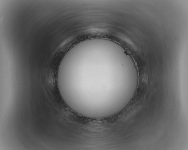 X0000114080869200910131234