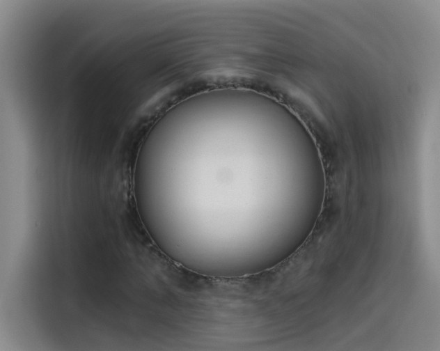 X0000114080870200910131234