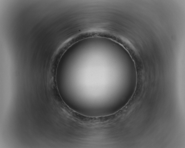 X0000114080872200910131234