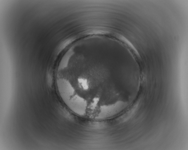 X0000114080874200910131234