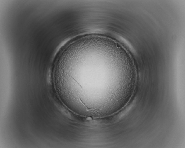 X0000114080875200910131234