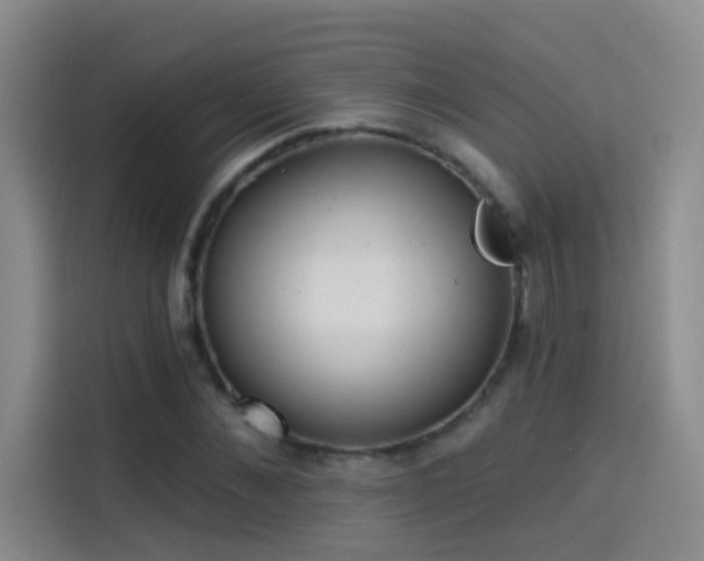 X0000114080876200910131234