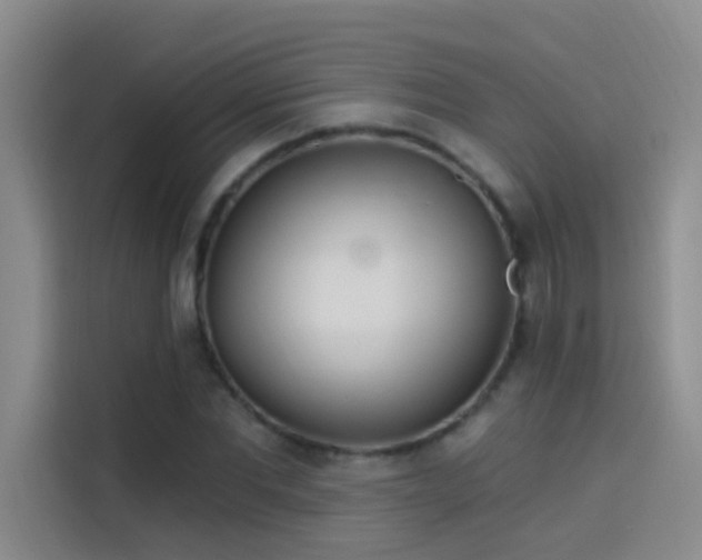 X0000114080877200910131234