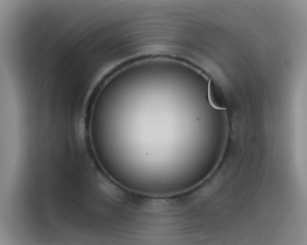 X0000114080880200910131234