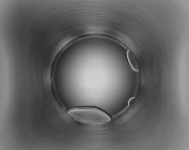 X0000114080885200910131234