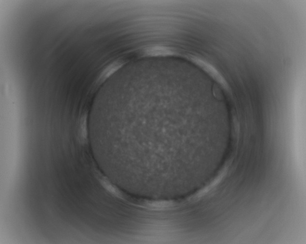 X0000114080889200910131234