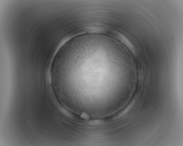 X0000114080891200910131234