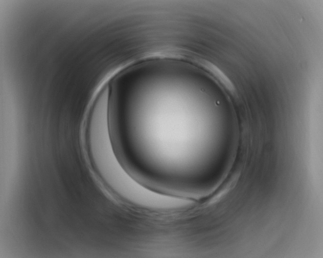 X0000114080893200910131234