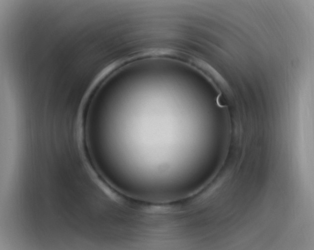 X0000114080894200910131234