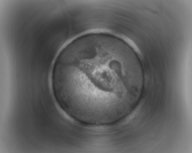 X0000114080895200910131234