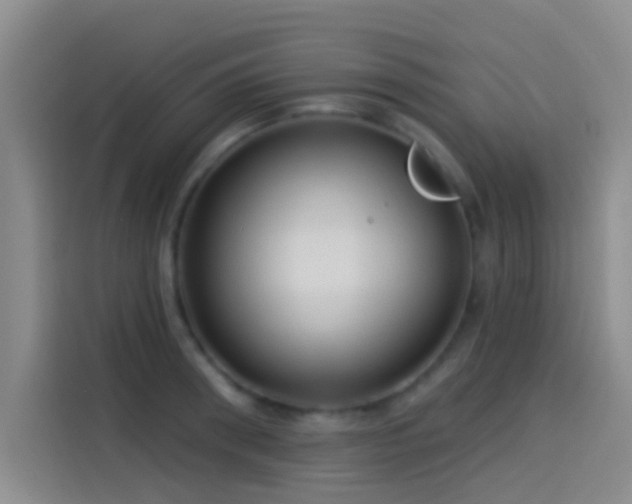 X0000114080898200910131234