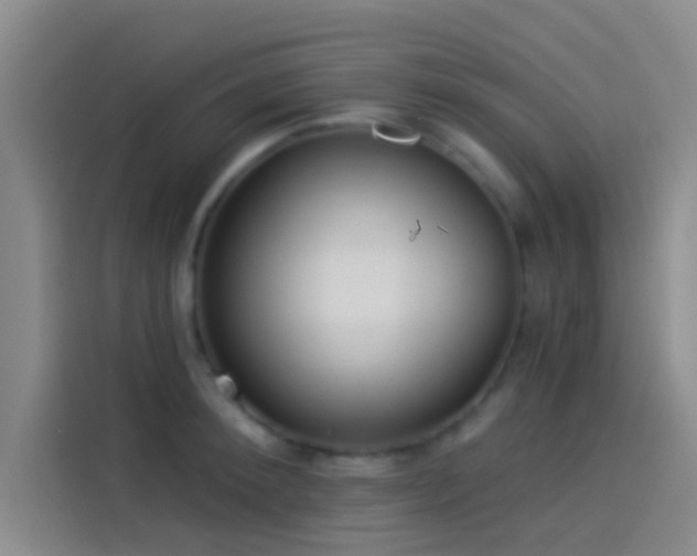 X0000114080900200910131234