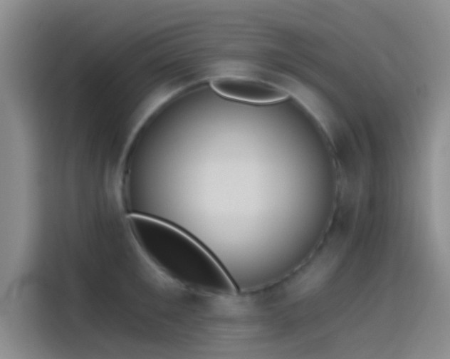 X0000114080901200910131234