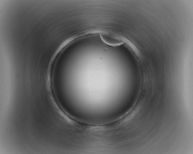 X0000114080902200910131234