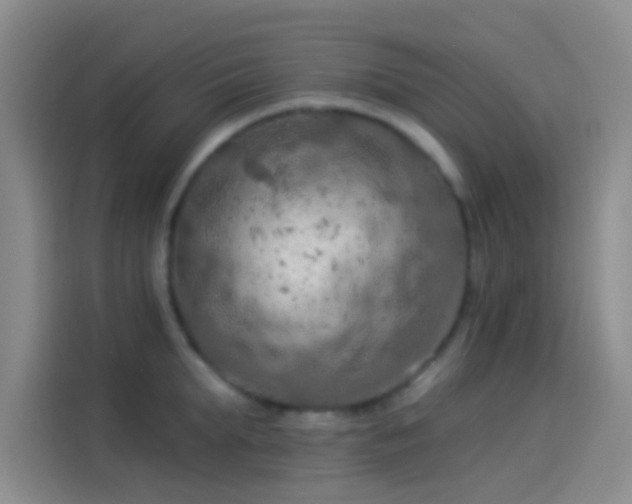 X0000114080903200910131234