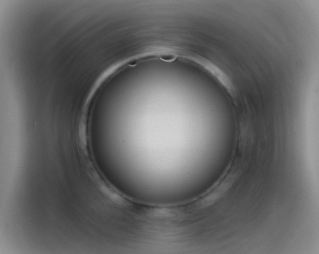 X0000114080904200910131234