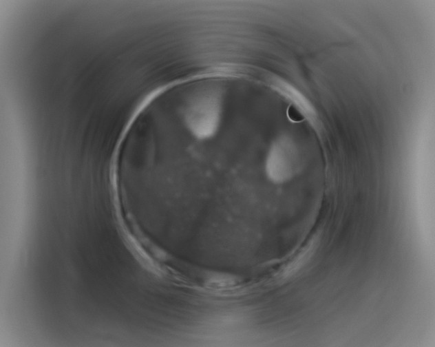 X0000114080907200910131234