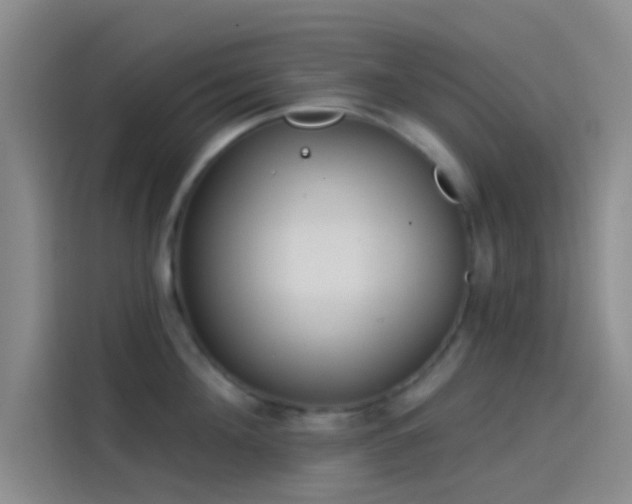 X0000114080908200910131234