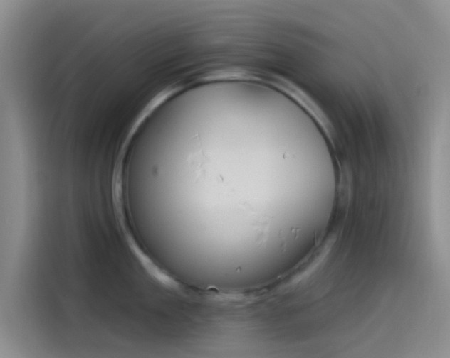 X0000114080909200910131234