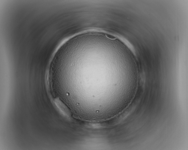 X0000114080911200910131234