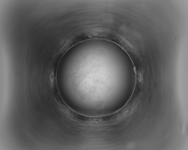 X0000114080915200910131233