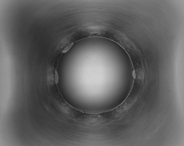 X0000114080916200910131233