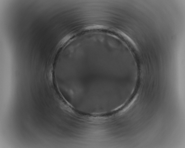 X0000114080921200910131233