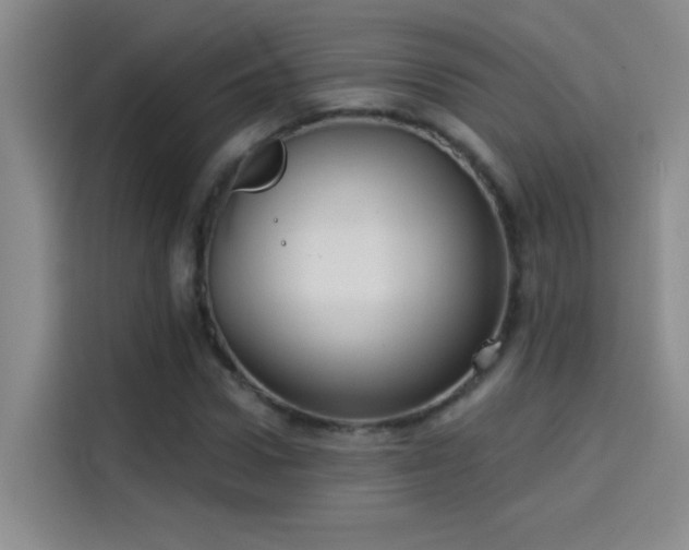 X0000114080922200910131233