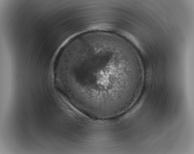 X0000114080923200910131233