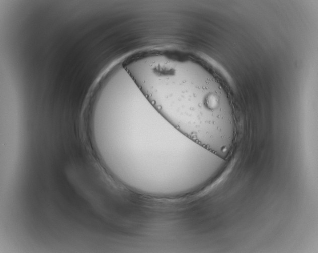 X0000114080925200910131233