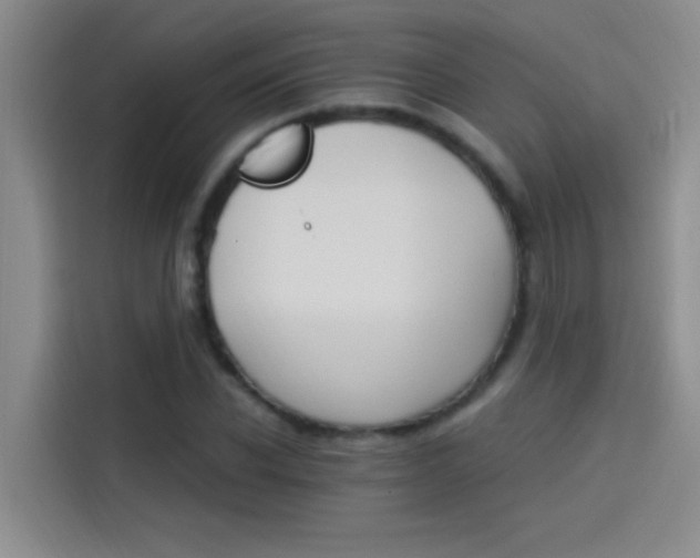 X0000114080926200910131233