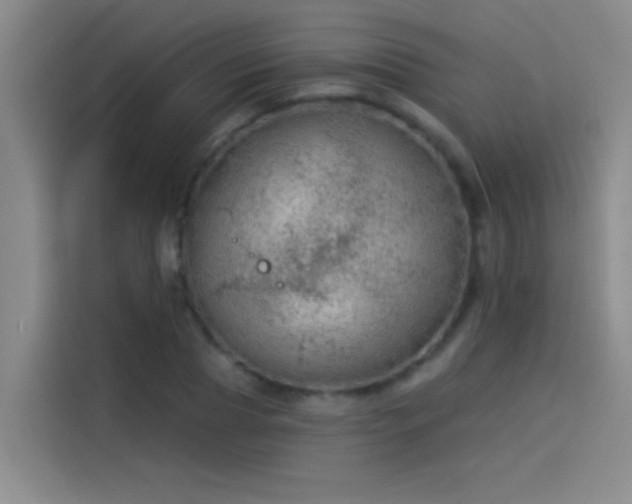 X0000114080929200910131233