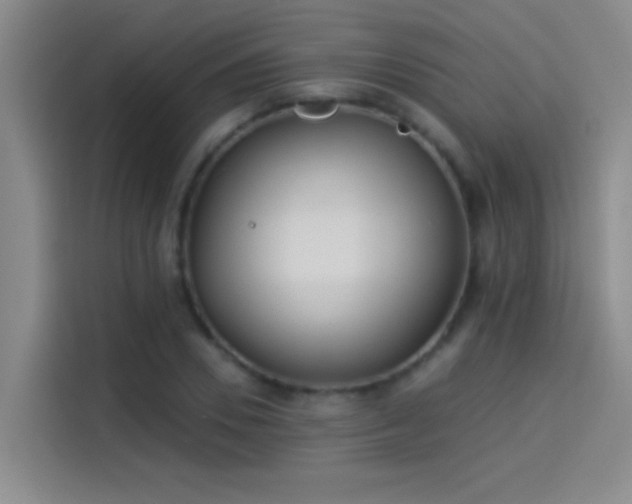 X0000114080930200910131233