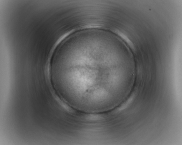 X0000114080933200910131233