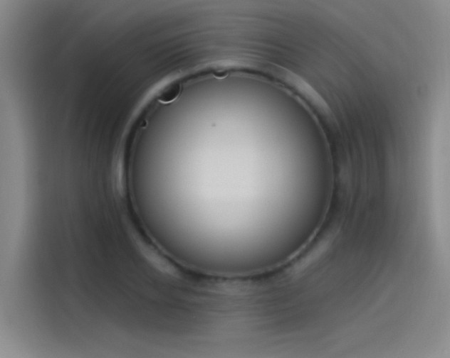 X0000114080934200910131233