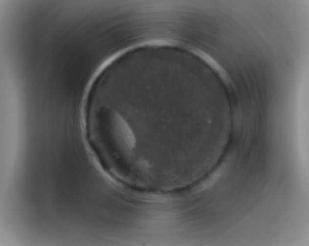 X0000114080935200910131233