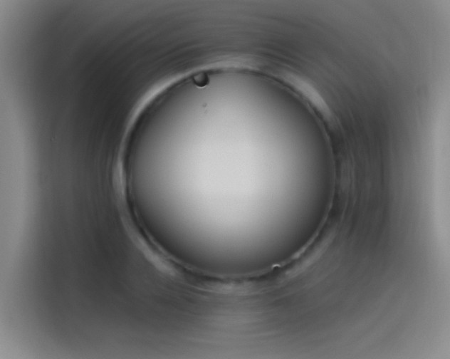 X0000114080936200910131233