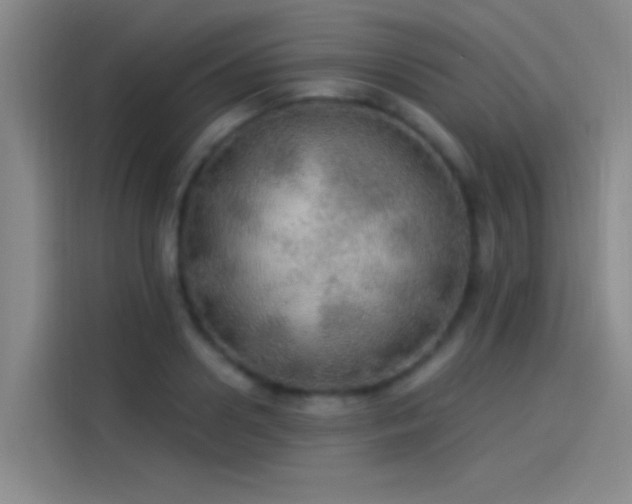 X0000114080938200910131233