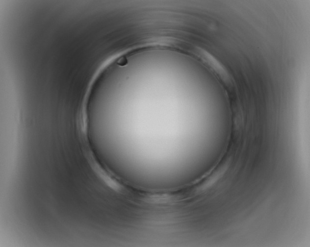 X0000114080940200910131233