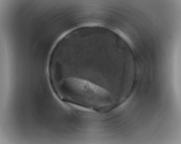 X0000114080943200910131234